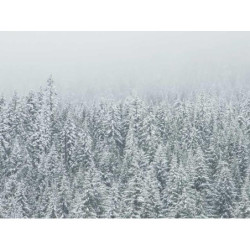 Mediocre Silk Shirt fr-FR